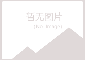 白山山柳工程有限公司